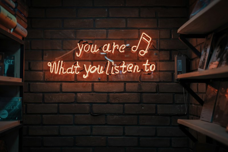 Electronic artist